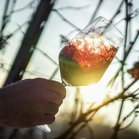 Affittacamere Bahnhof Busch